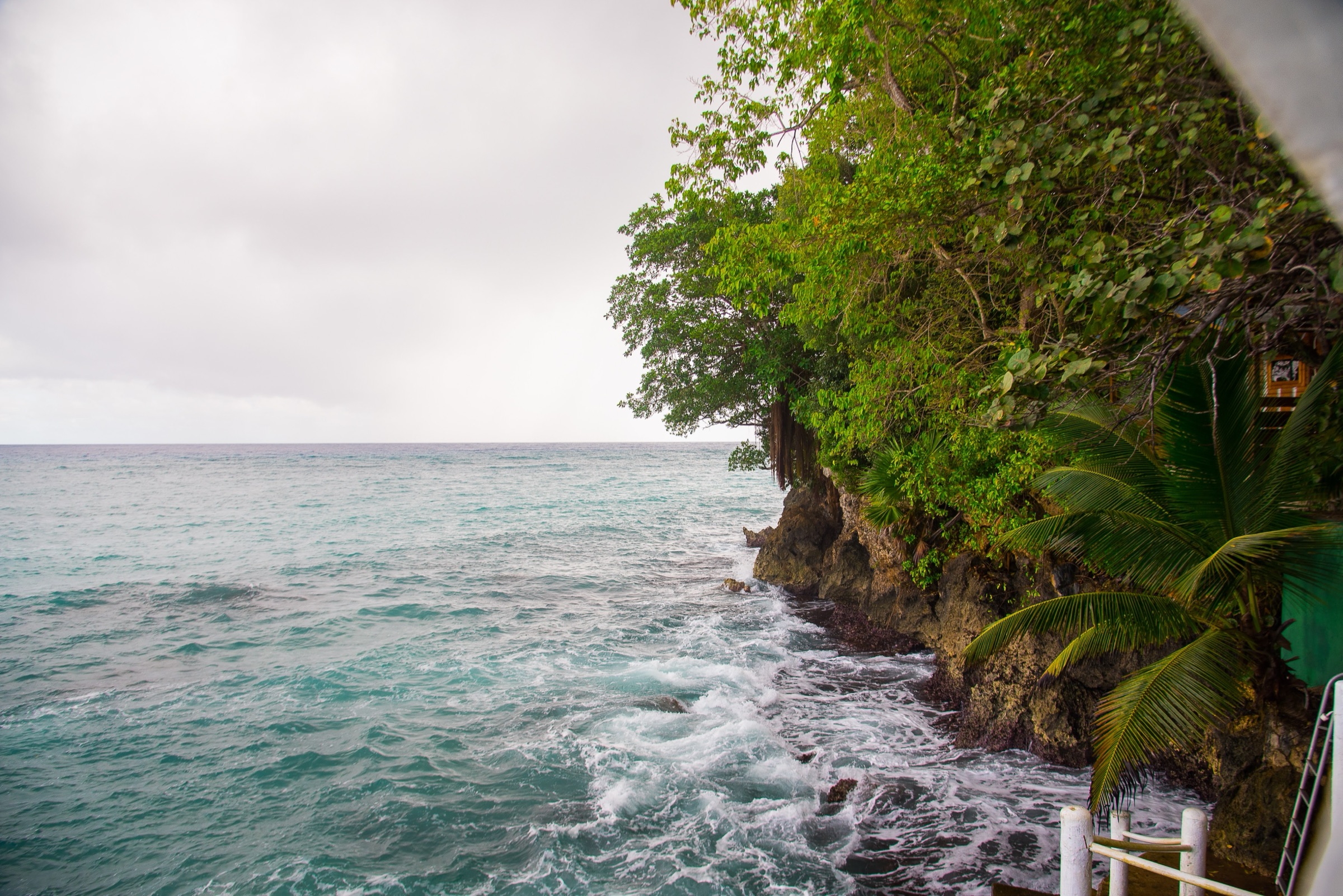 The sea breaking against the rocks below Tranquility Cove, green headland and palms along the shore