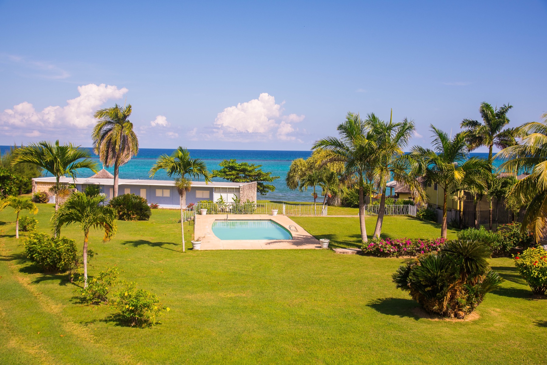 Miramar Villas: the swimming pool and lawn running down to the sea, framed by palms